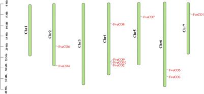 Genome-Wide Identification, Characterization, and Expression Profile Analysis of CONSTANS-like Genes in Woodland Strawberry (Fragaria vesca)
